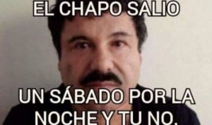 chapo4